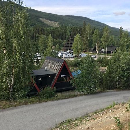 Hallingparken Gol Kültér fotó